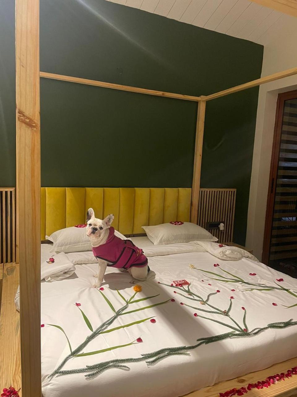 Rawai Luxury Tents Пушкар Екстериор снимка